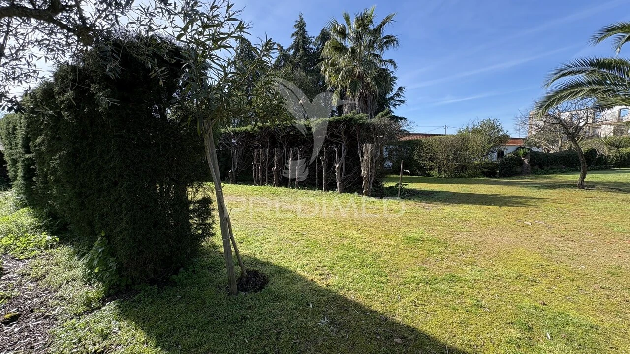 Quinta T4 para Venda em Montalvo Foto 4