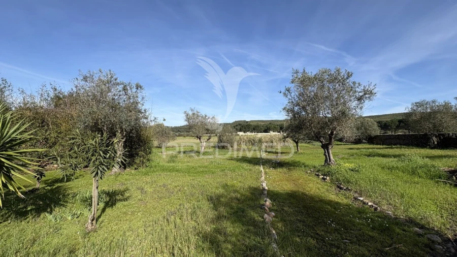 Quinta T4 para Venda em Montalvo Foto 5