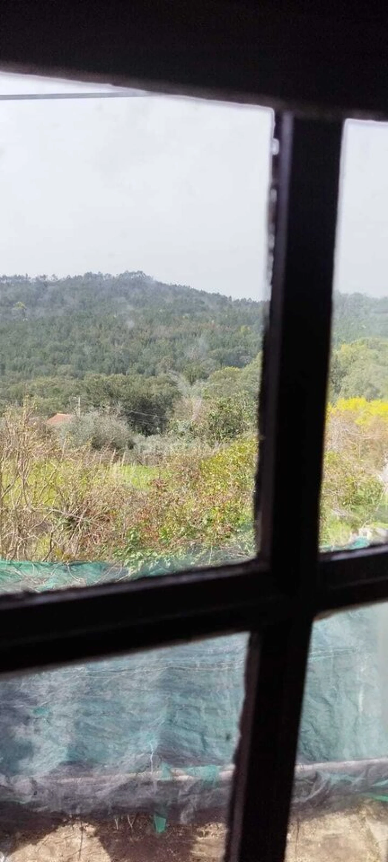 Quinta T4 para Venda em São Salvador da Aramenha Foto 4