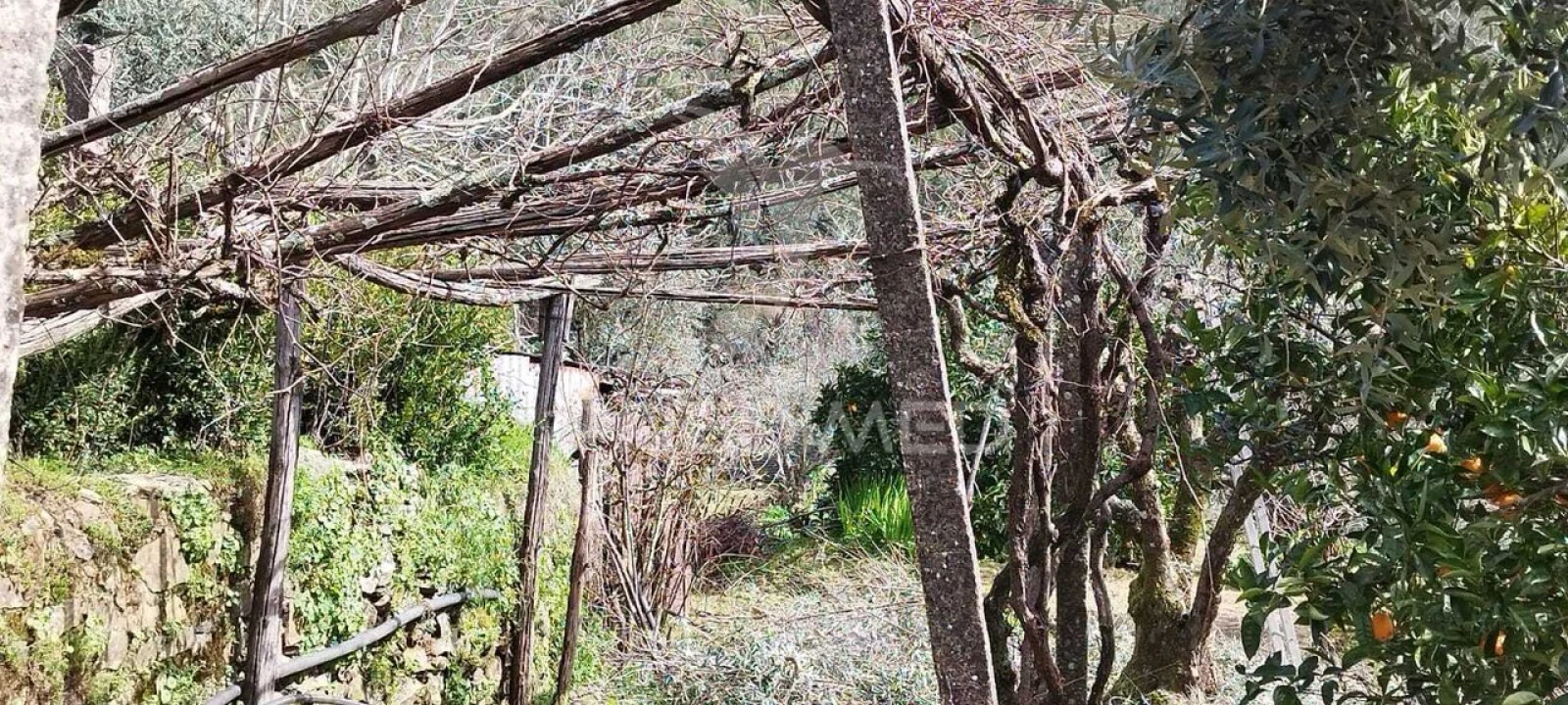 Quinta T4 para Venda em São Salvador da Aramenha Foto 15