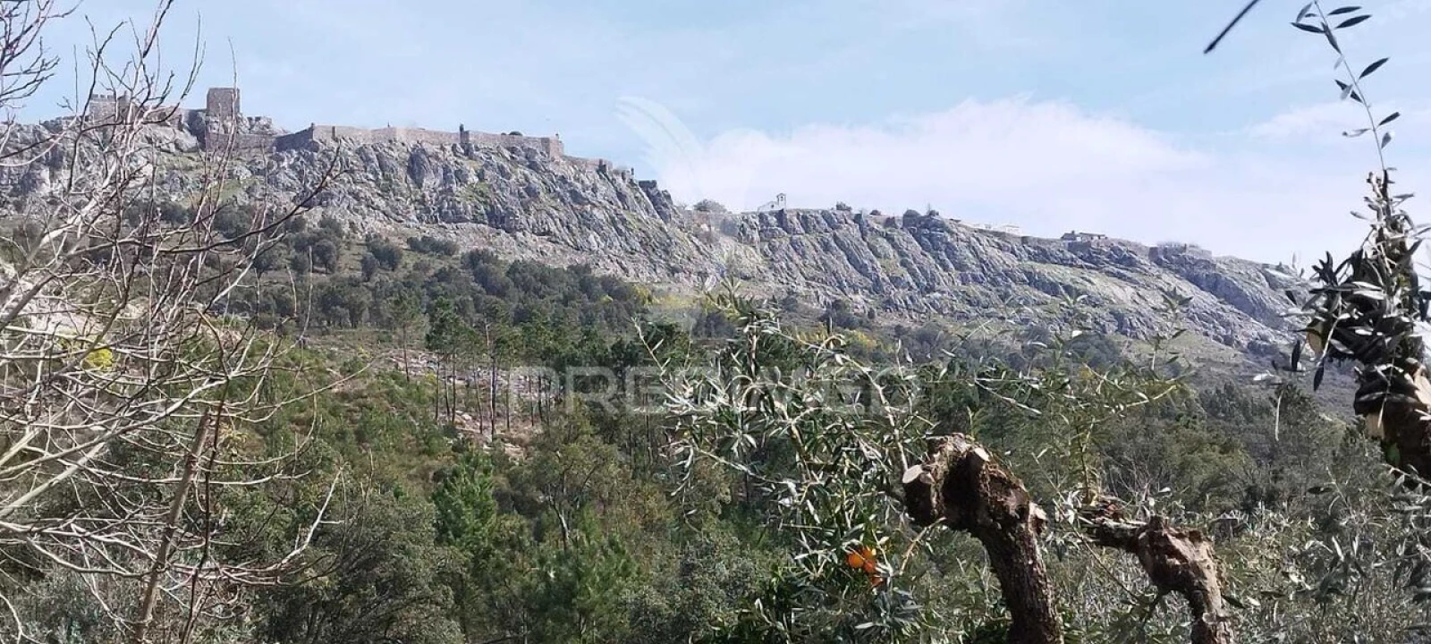 Quinta T4 para Venda em São Salvador da Aramenha Foto 12