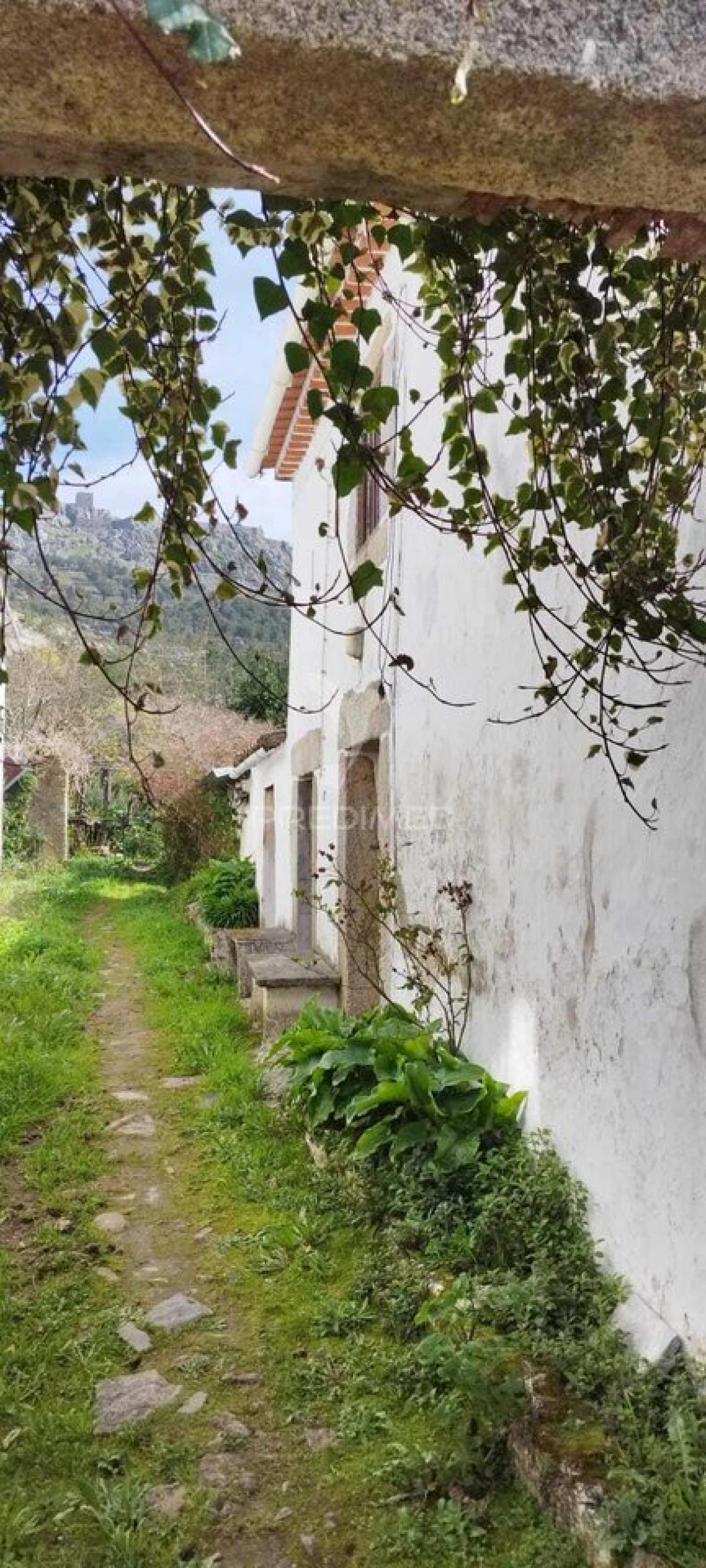 Quinta T4 para Venda em São Salvador da Aramenha Foto 1