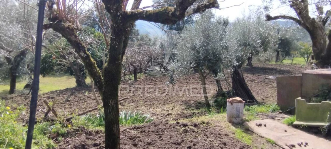Quinta T4 para Venda em São Salvador da Aramenha Foto 19