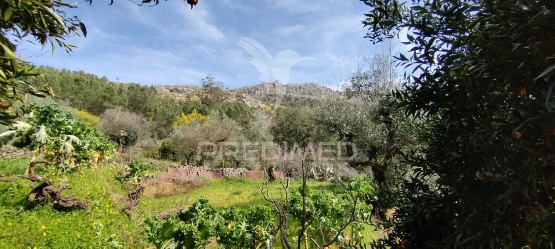 Quinta T4 para Venda em São Salvador da Aramenha Foto 9