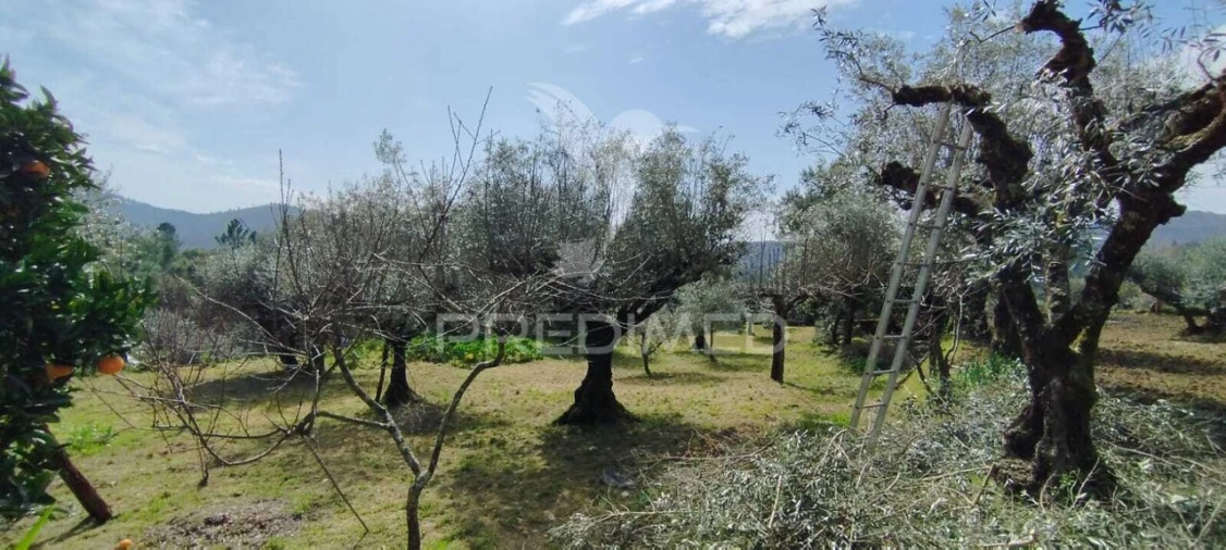 Quinta T4 para Venda em São Salvador da Aramenha Foto 14
