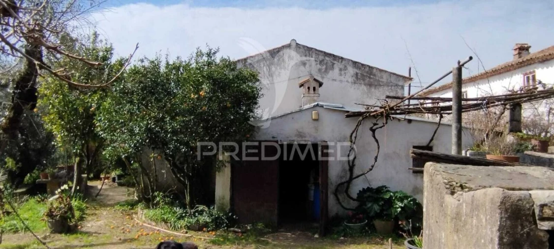 Quinta T4 para Venda em São Salvador da Aramenha Foto 16