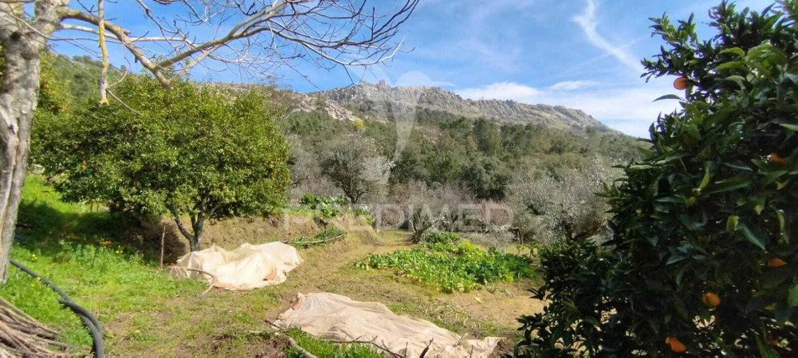 Quinta T4 para Venda em São Salvador da Aramenha Foto 10