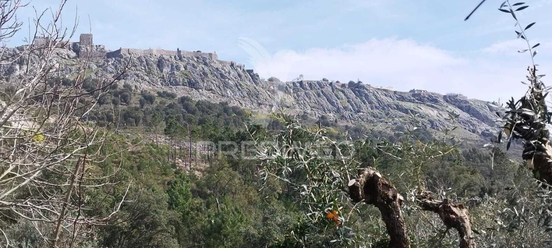 Quinta T4 para Venda em São Salvador da Aramenha Foto 12