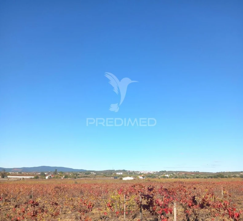 Quinta T2 para Venda em Redondo Foto 10