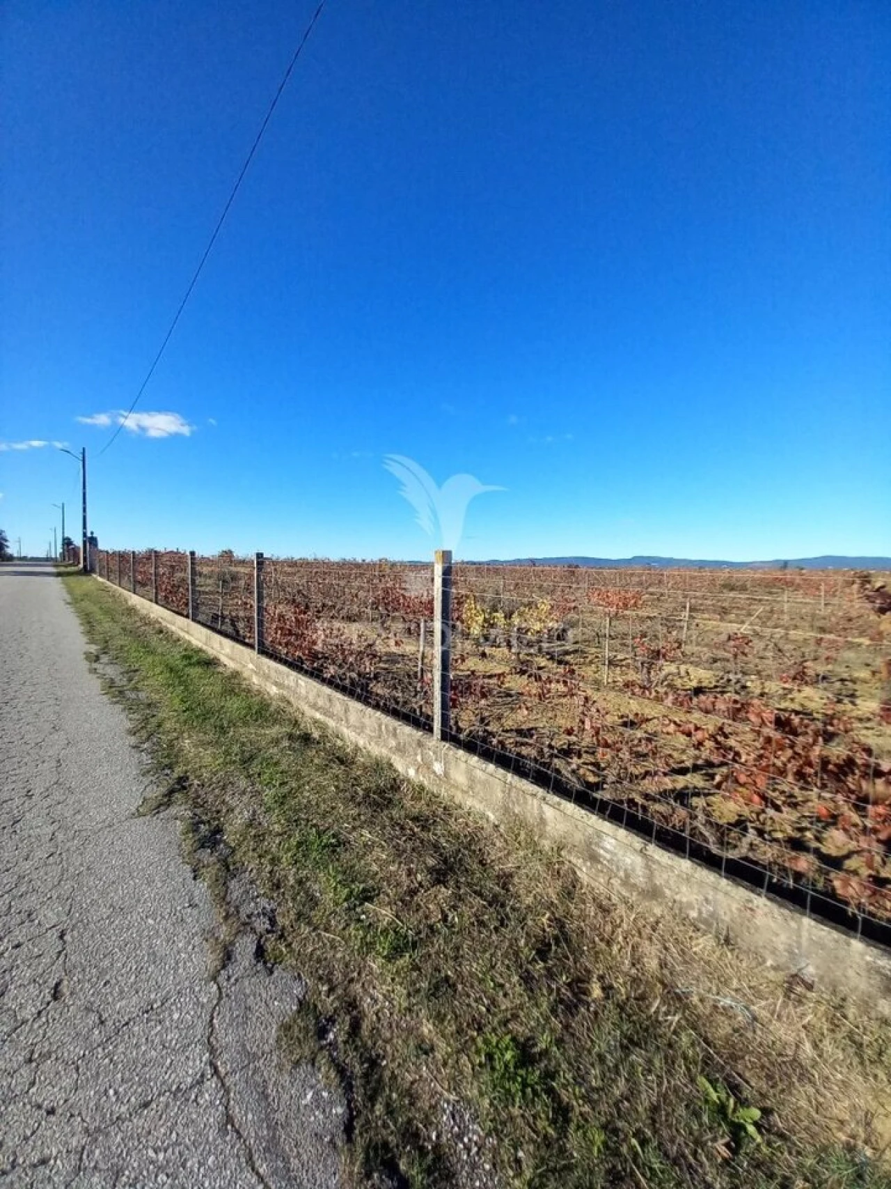 Quinta T2 para Venda em Redondo Foto 6