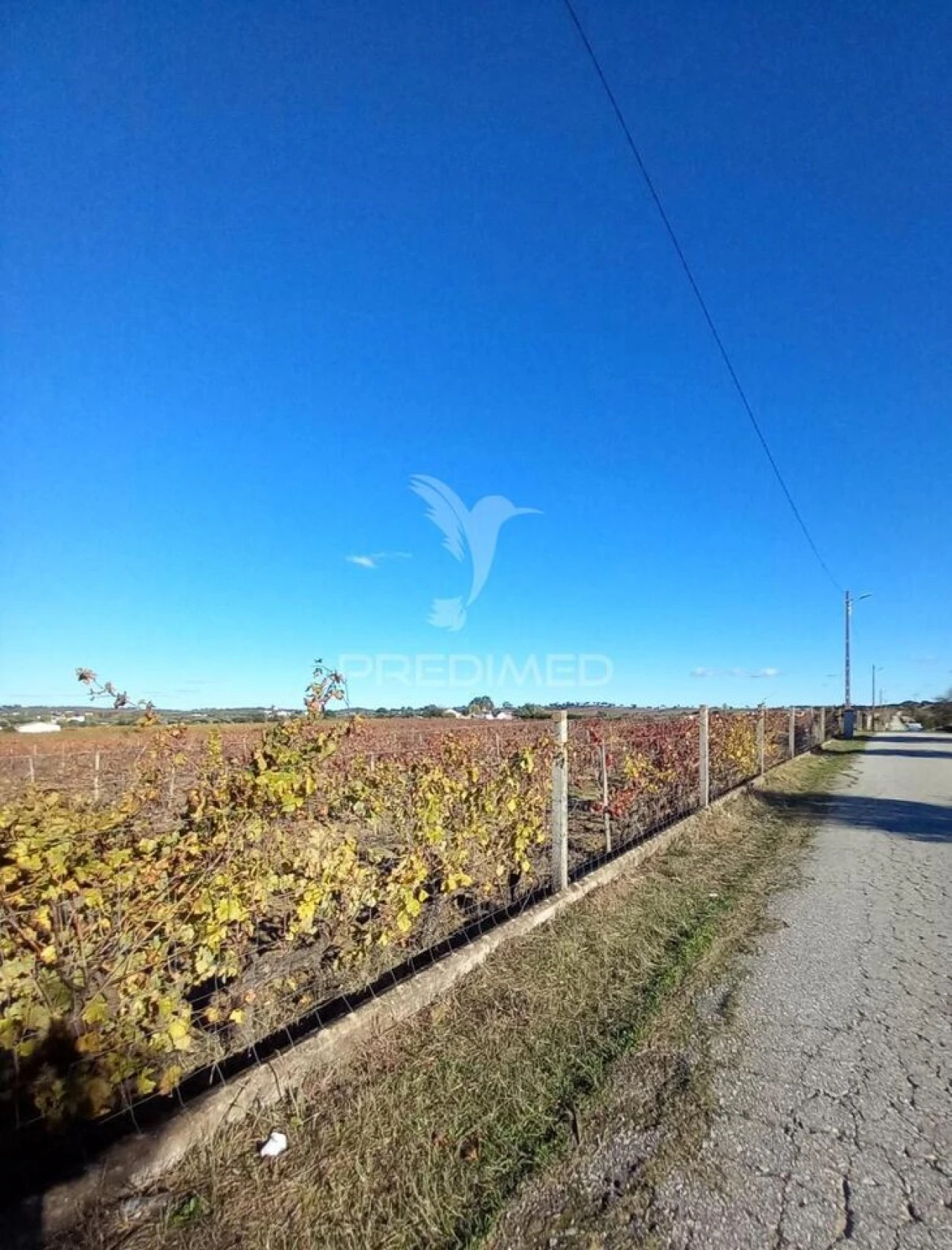 Quinta T2 para Venda em Redondo Foto 4