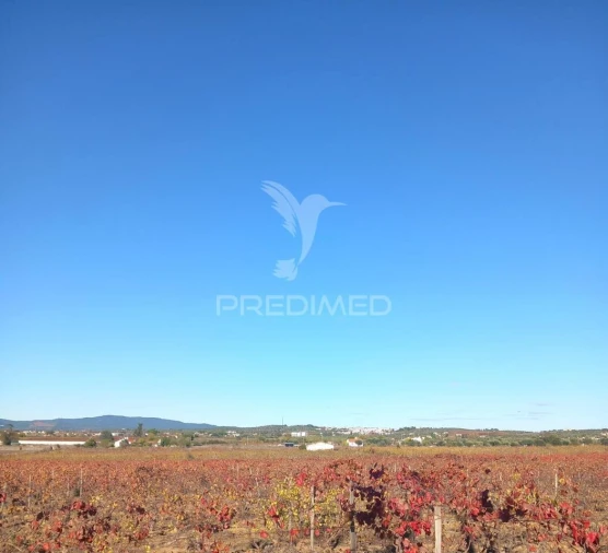 Quinta T2 para Venda em Redondo Foto 10