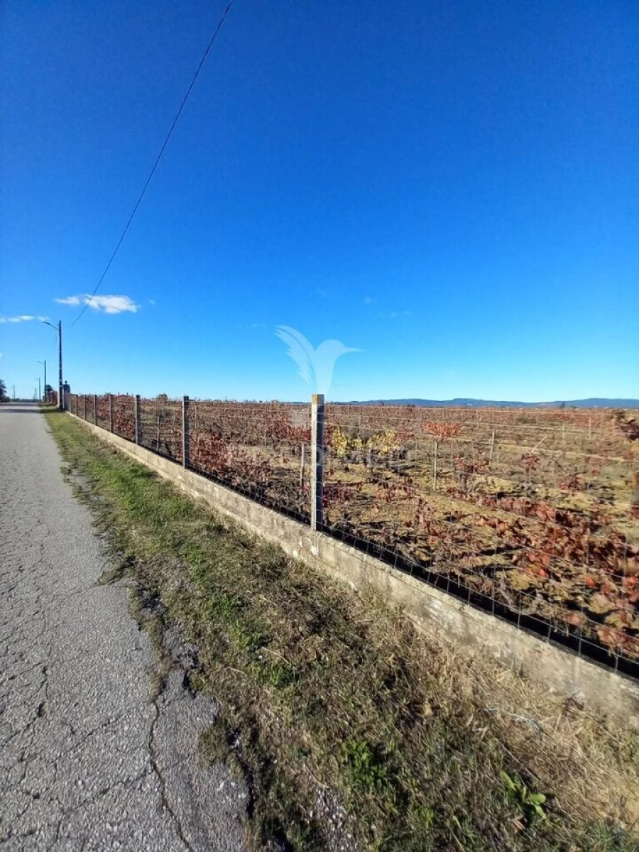 Quinta T2 para Venda em Redondo Foto 6