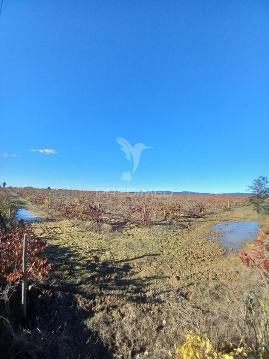 Quinta T2 para Venda em Redondo Foto 7