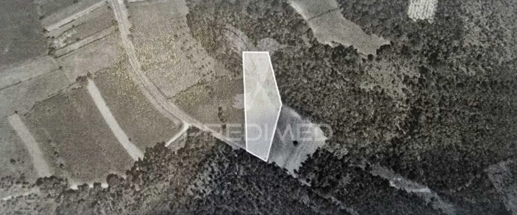 Terreno para Venda em Angeja Foto 1