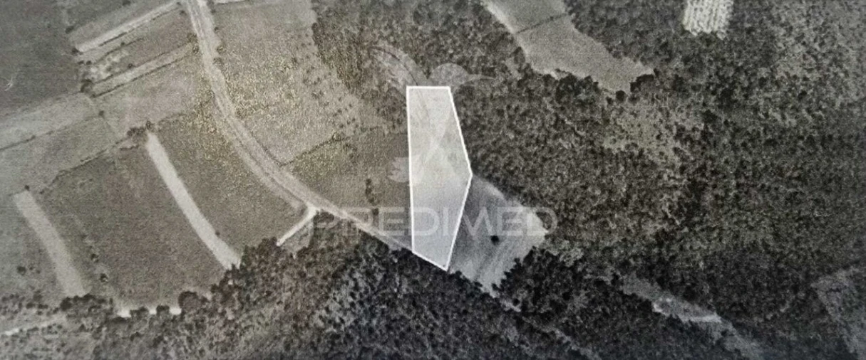 Terreno para Venda em Angeja Foto 1