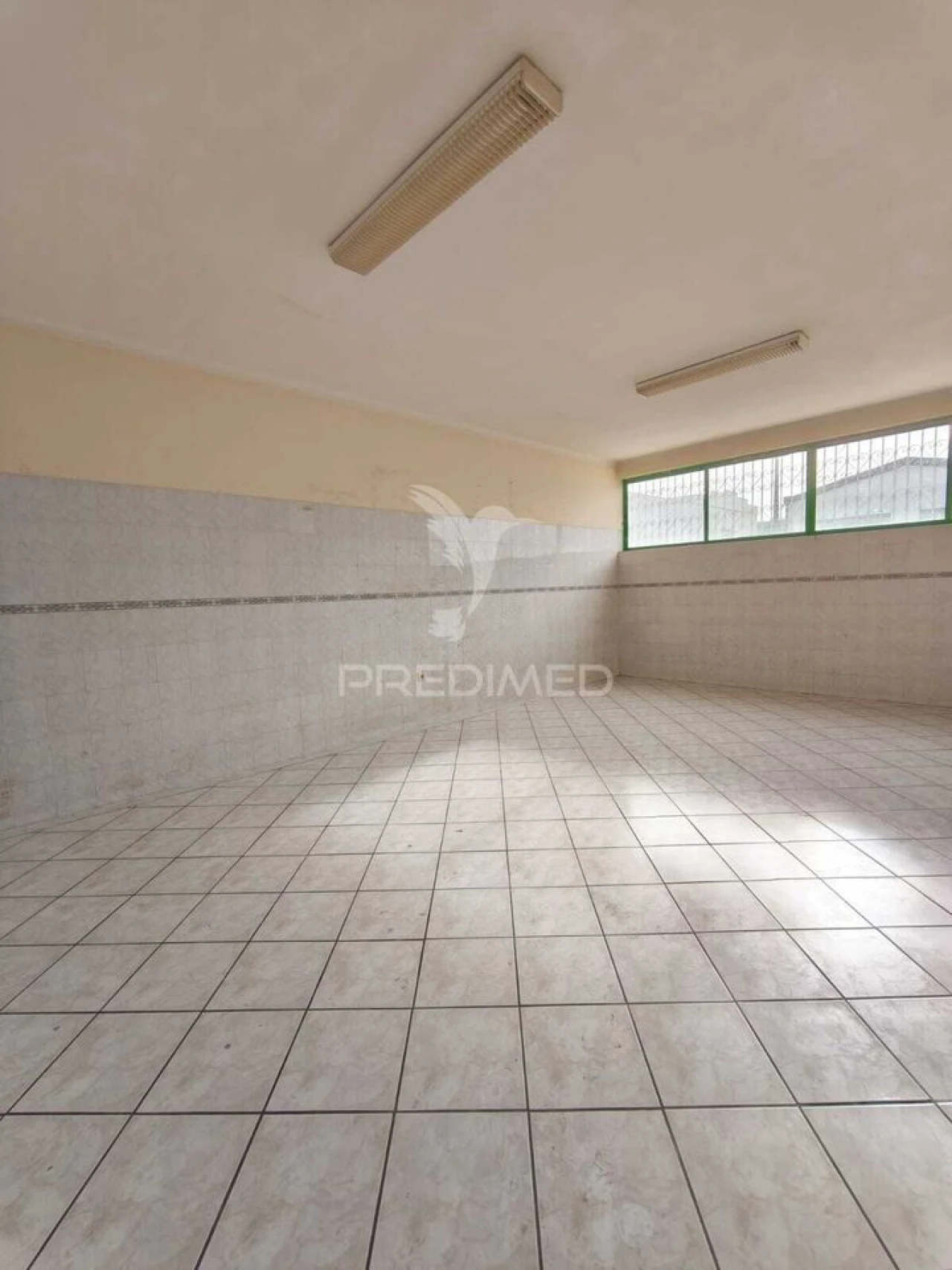 Armazém para Venda em Oiã Foto 12