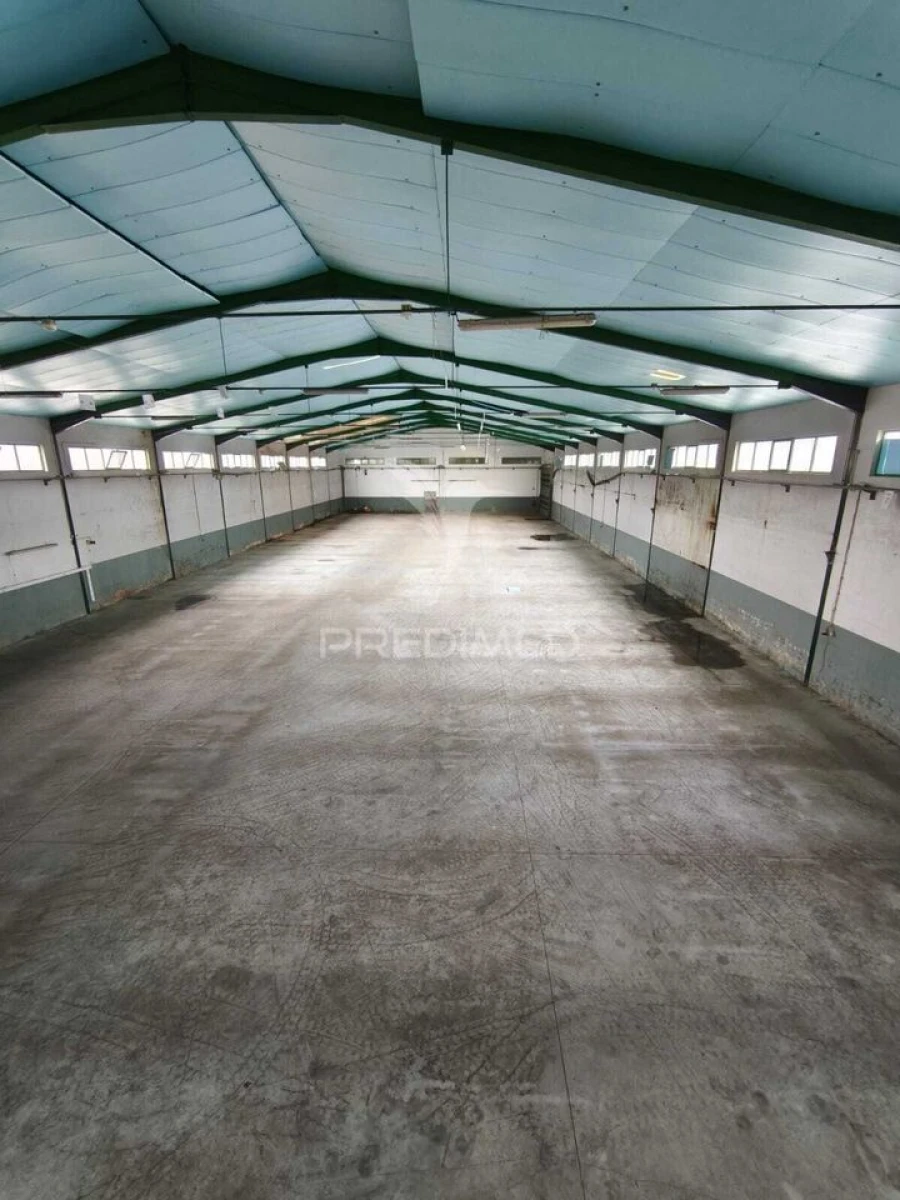 Armazém para Venda em Oiã Foto 2