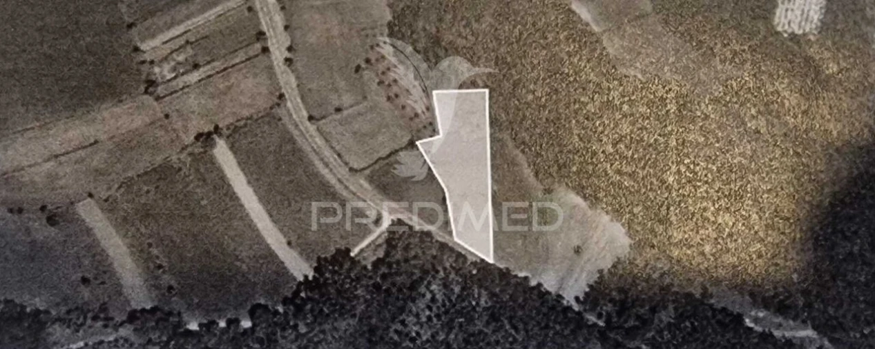 Terreno para Venda em Angeja Foto 1