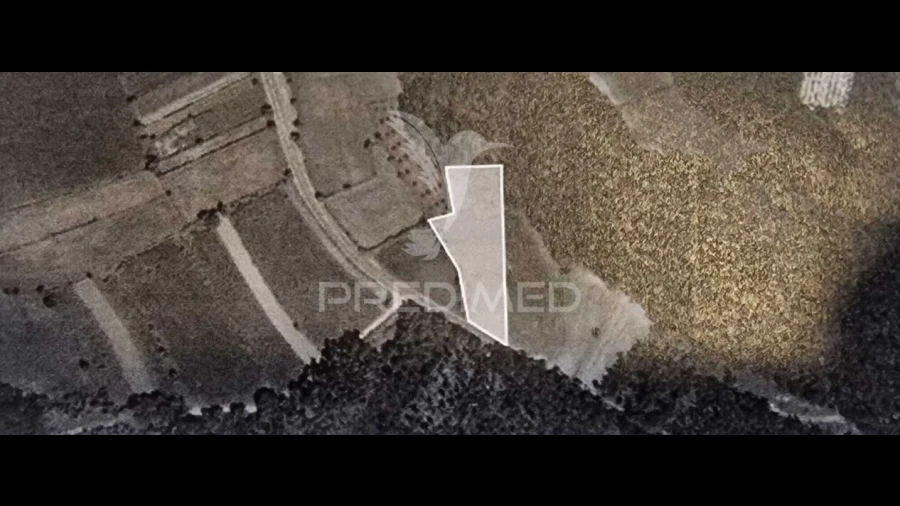 Terreno para Venda em Angeja