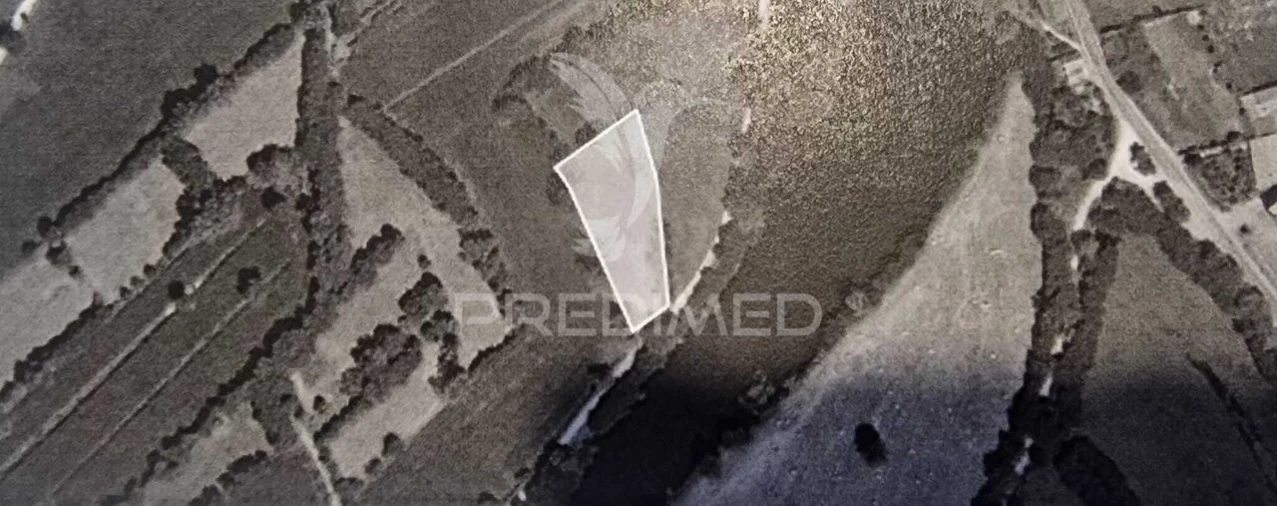 Terreno para Venda em Angeja Foto 1