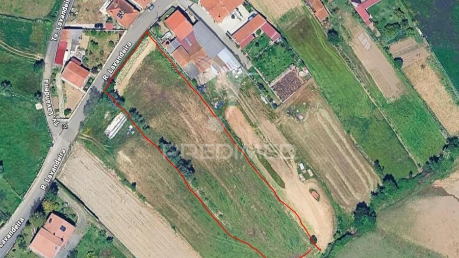 Terreno para Venda em Angeja