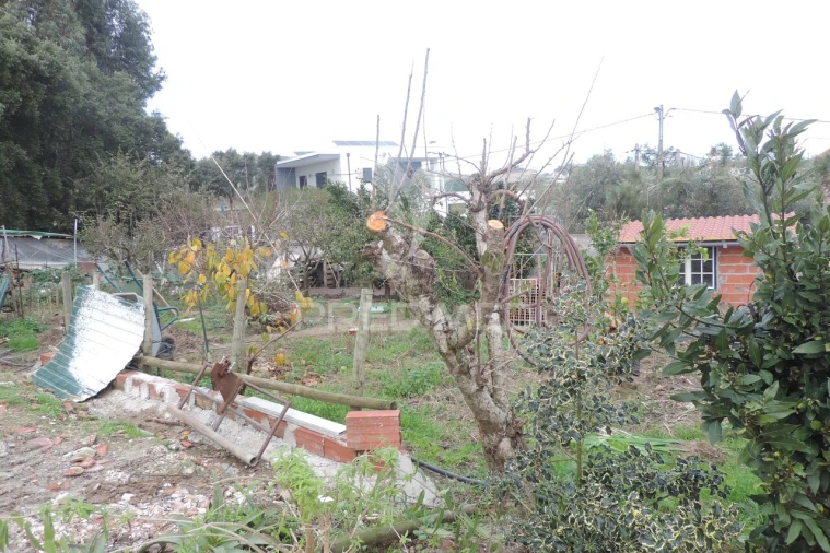 Terreno para Venda em Vimeiro Foto 2