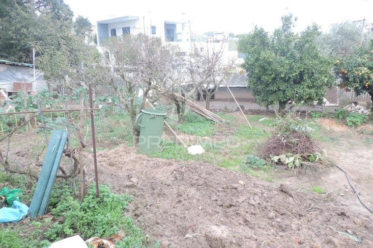 Terreno para Venda em Vimeiro Foto 5