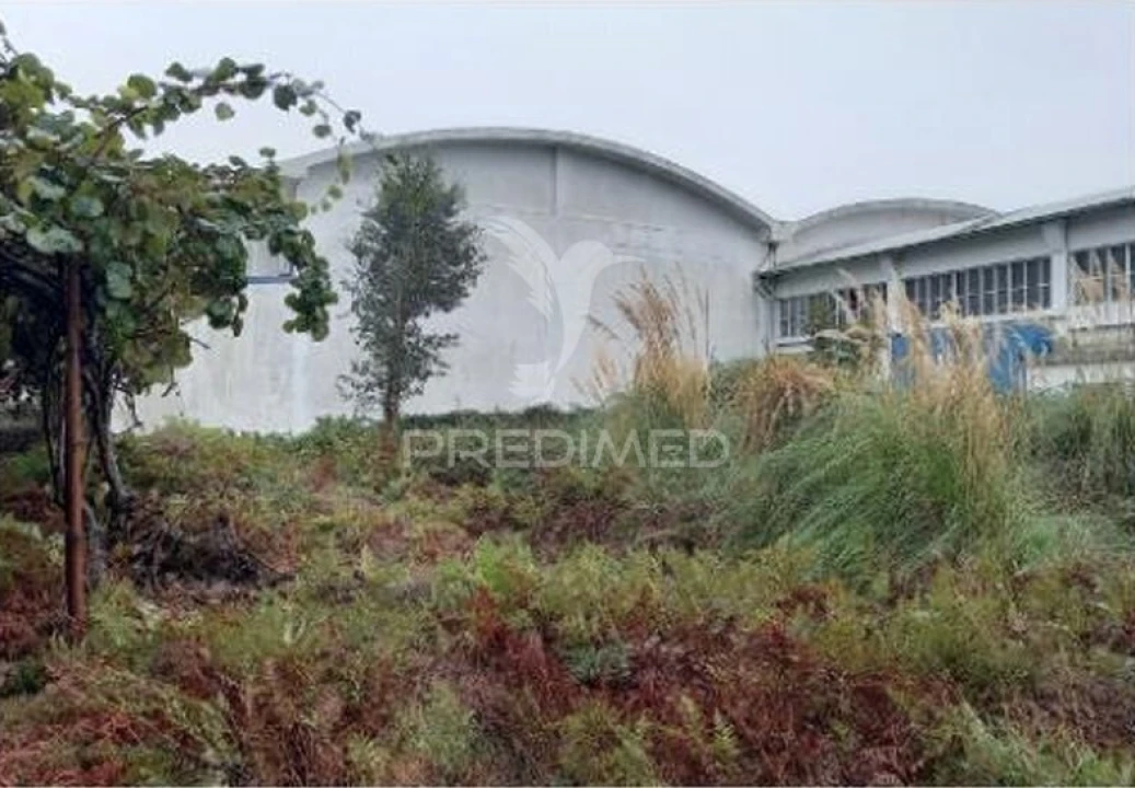 Armazém para Venda em Santa Maria de Lamas Foto 9