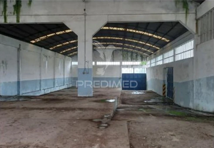 Armazém para Venda em Santa Maria de Lamas Foto 15