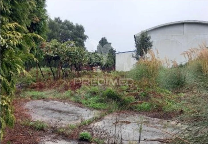 Armazém para Venda em Santa Maria de Lamas Foto 4