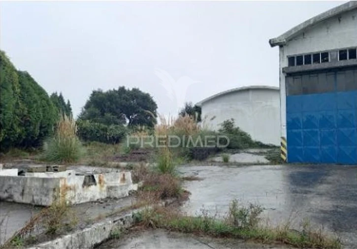 Armazém para Venda em Santa Maria de Lamas