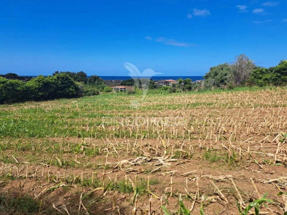 Moradia T3 para Venda em Biscoitos Foto 14