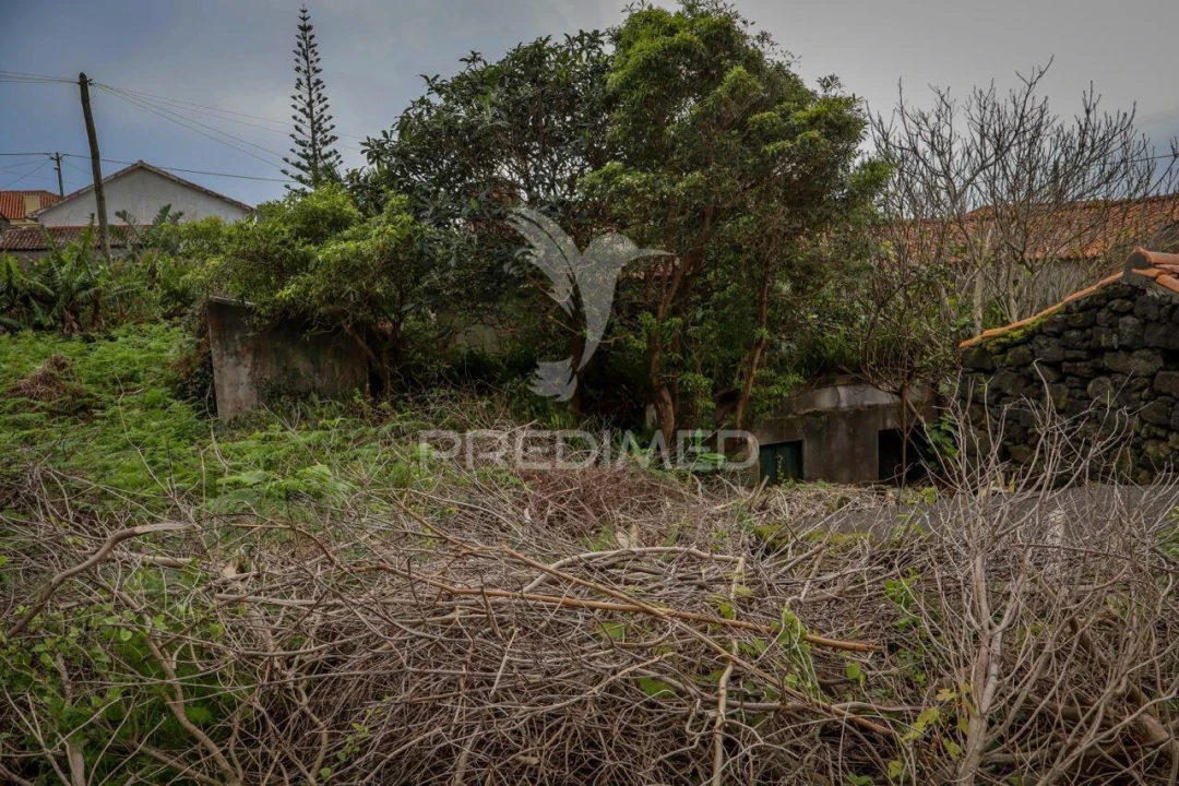 Moradia T2 para Venda em Candelaria Foto 19