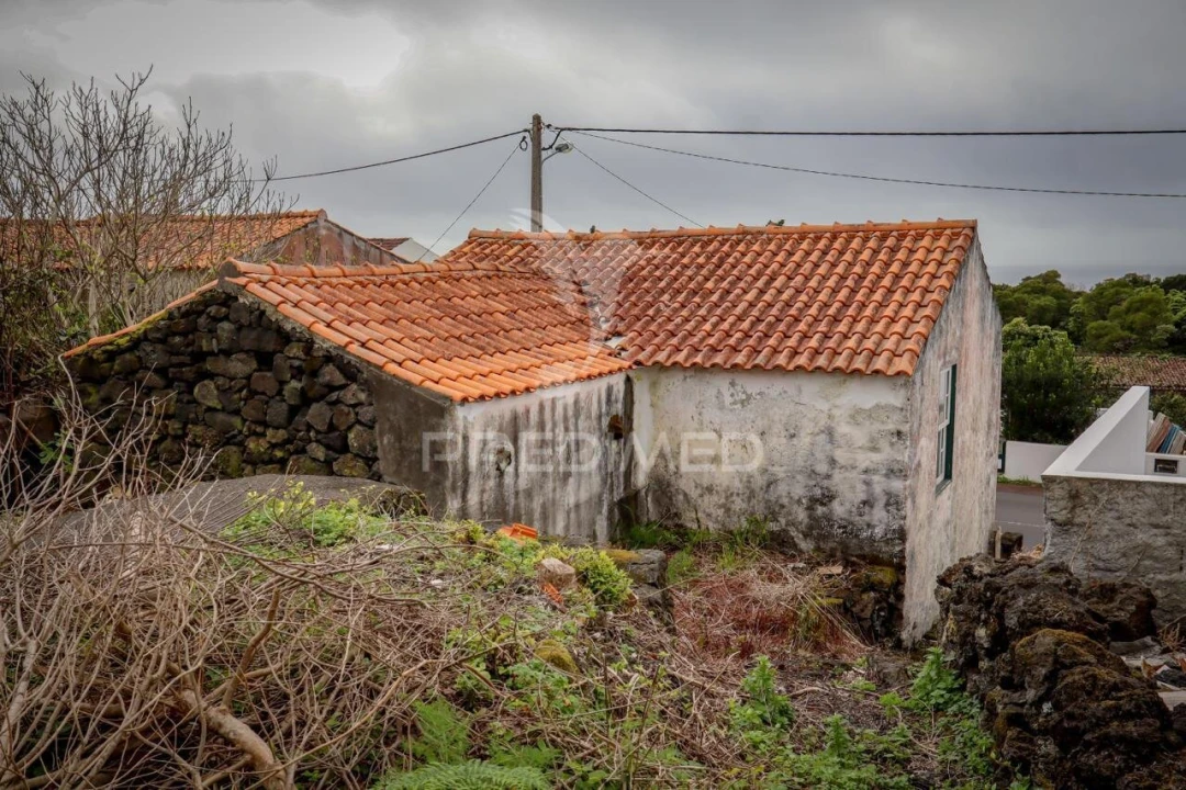 Moradia T2 para Venda em Candelaria Foto 10