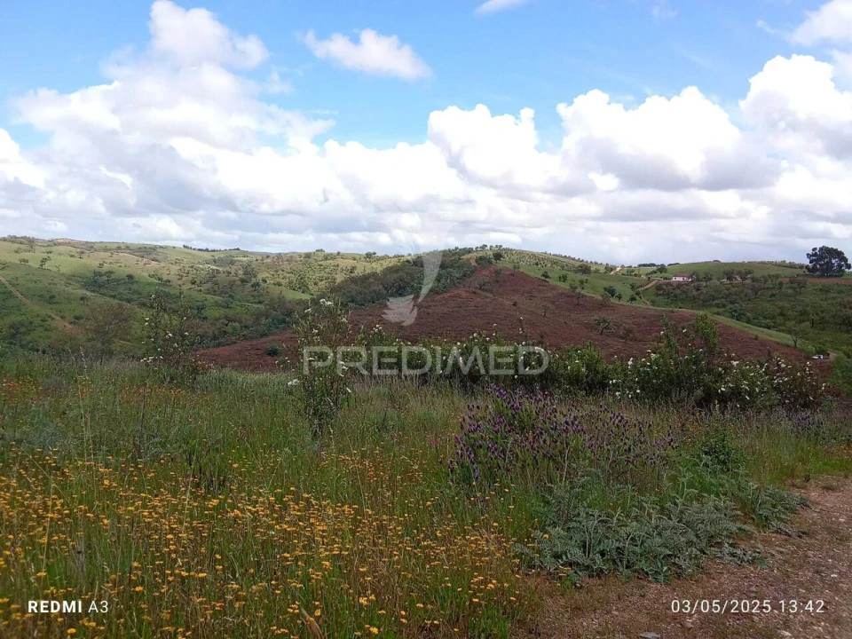 Terreno para Venda em Luzianes-Gare Foto 10