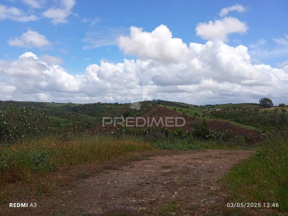 Terreno para Venda em Luzianes-Gare Foto 6