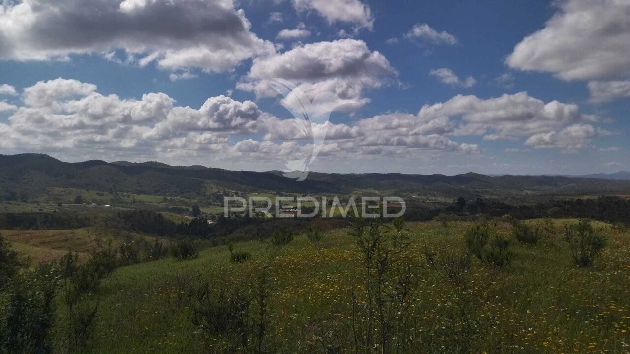 Terreno para Venda em Luzianes-Gare Foto 15