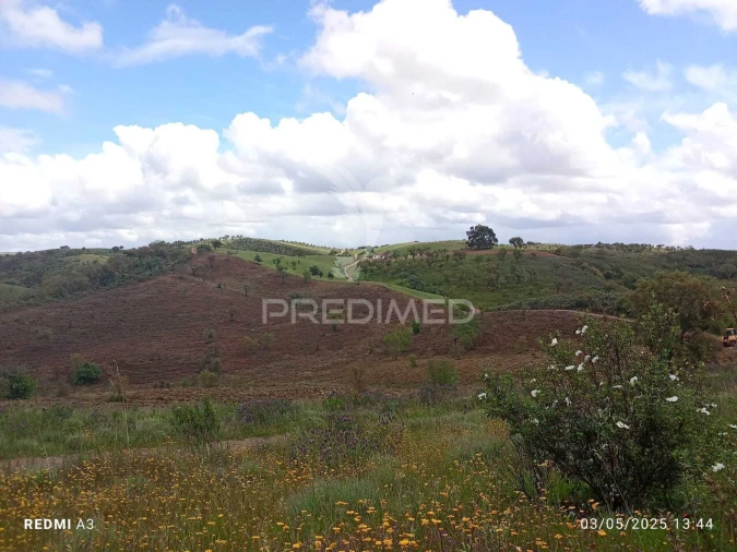 Terreno para Venda em Luzianes-Gare Foto 7