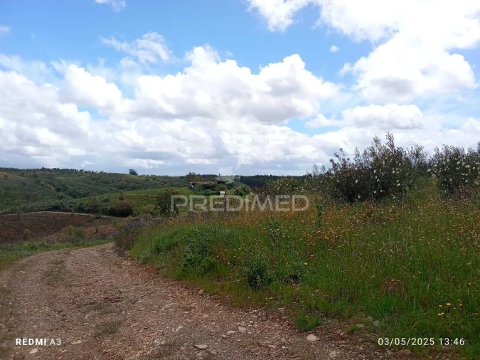 Terreno para Venda em Luzianes-Gare Foto 2