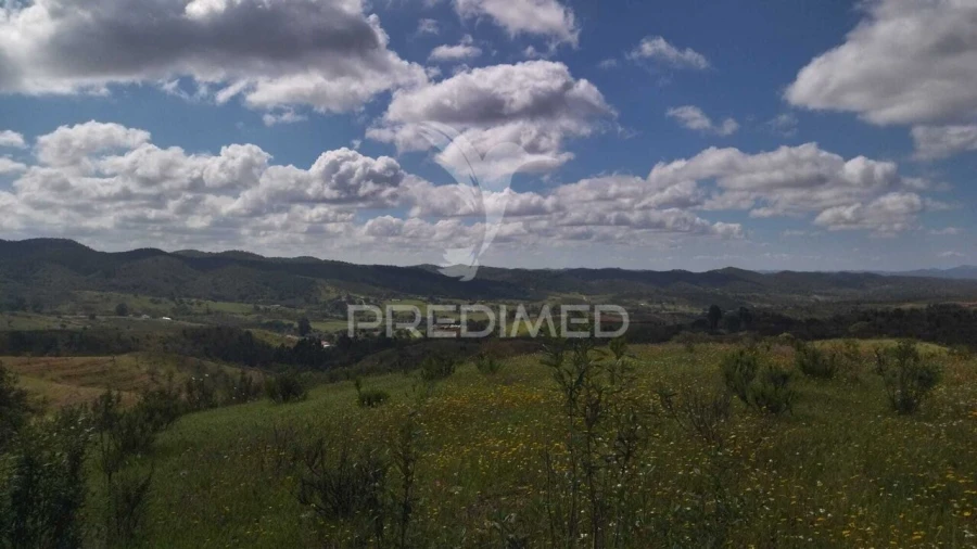 Terreno para Venda em Luzianes-Gare Foto 15