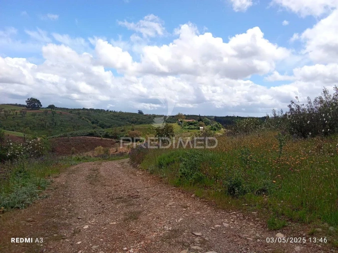 Terreno para Venda em Luzianes-Gare Foto 14