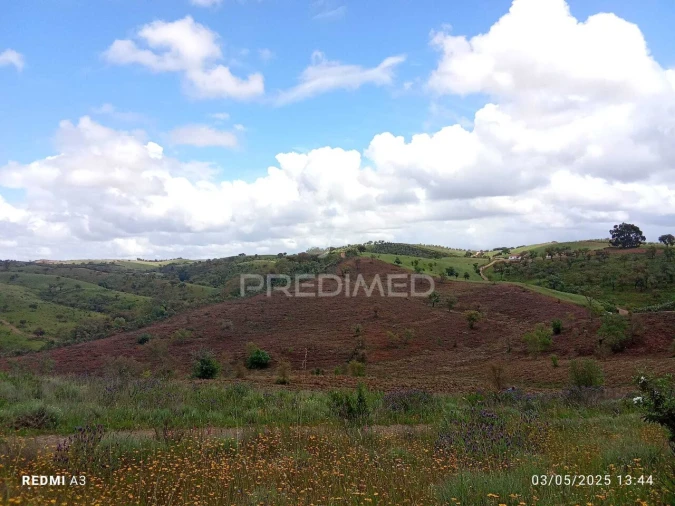 Terreno para Venda em Luzianes-Gare Foto 3