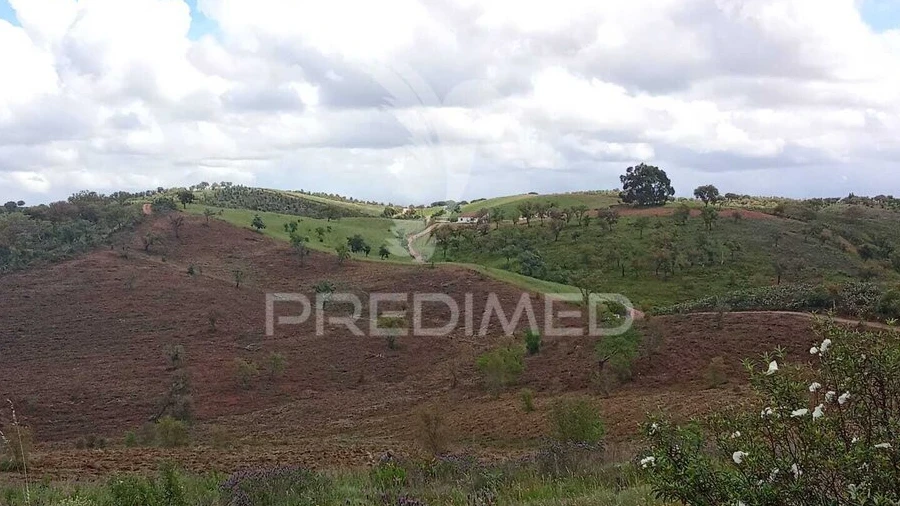 Terreno para Venda em Luzianes-Gare