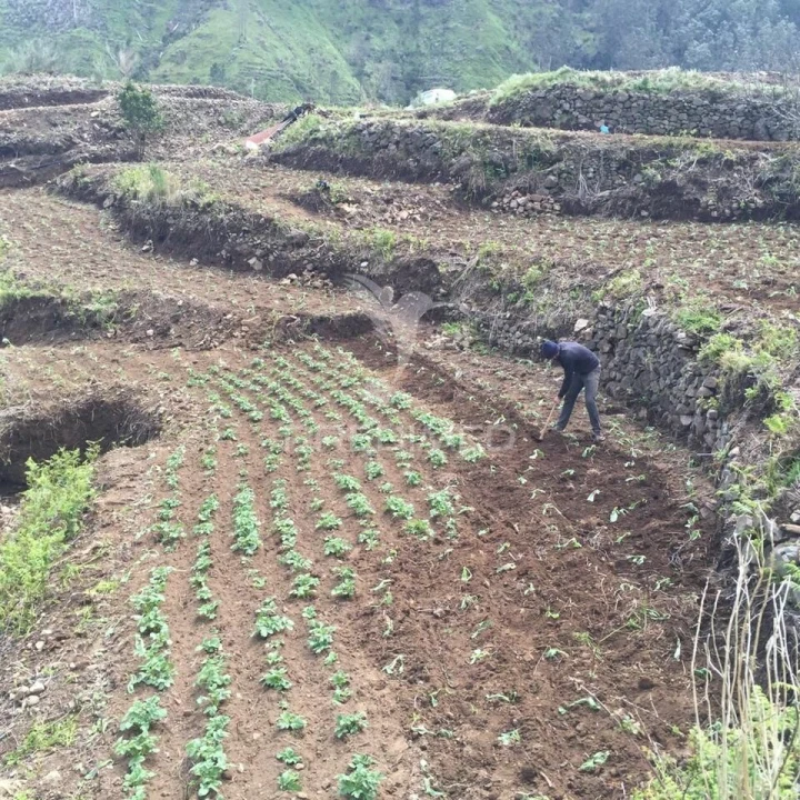 Terreno para Venda em Serra de Agua Foto 4