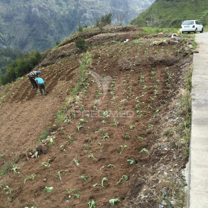 Terreno para Venda em Serra de Agua Foto 6