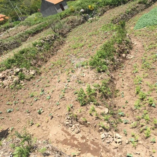 Terreno para Venda em Serra de Agua Foto 3