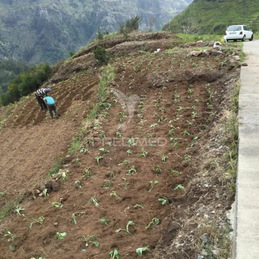 Terreno para Venda em Serra de Agua Foto 6