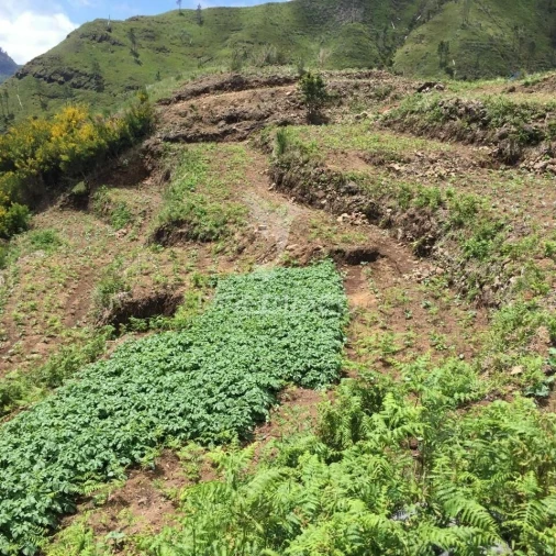 Terreno para Venda em Serra de Agua Foto 11