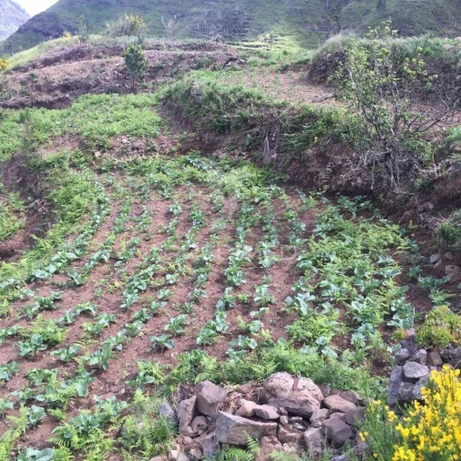 Terreno para Venda em Serra de Agua Foto 2